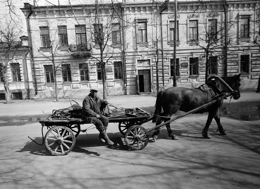 Водитель кобылы, 1969 год, Татарская АССР. 