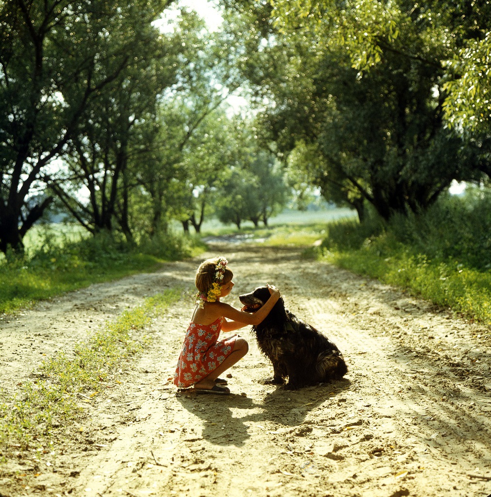 Девочка с собакой, 14 июля 1985, Пензенская обл., дер. Лунино. Выставка «Лето – это маленькая жизнь»&nbsp;и «Россия целиком»&nbsp;и видео «Лето» с этой фотографией. 