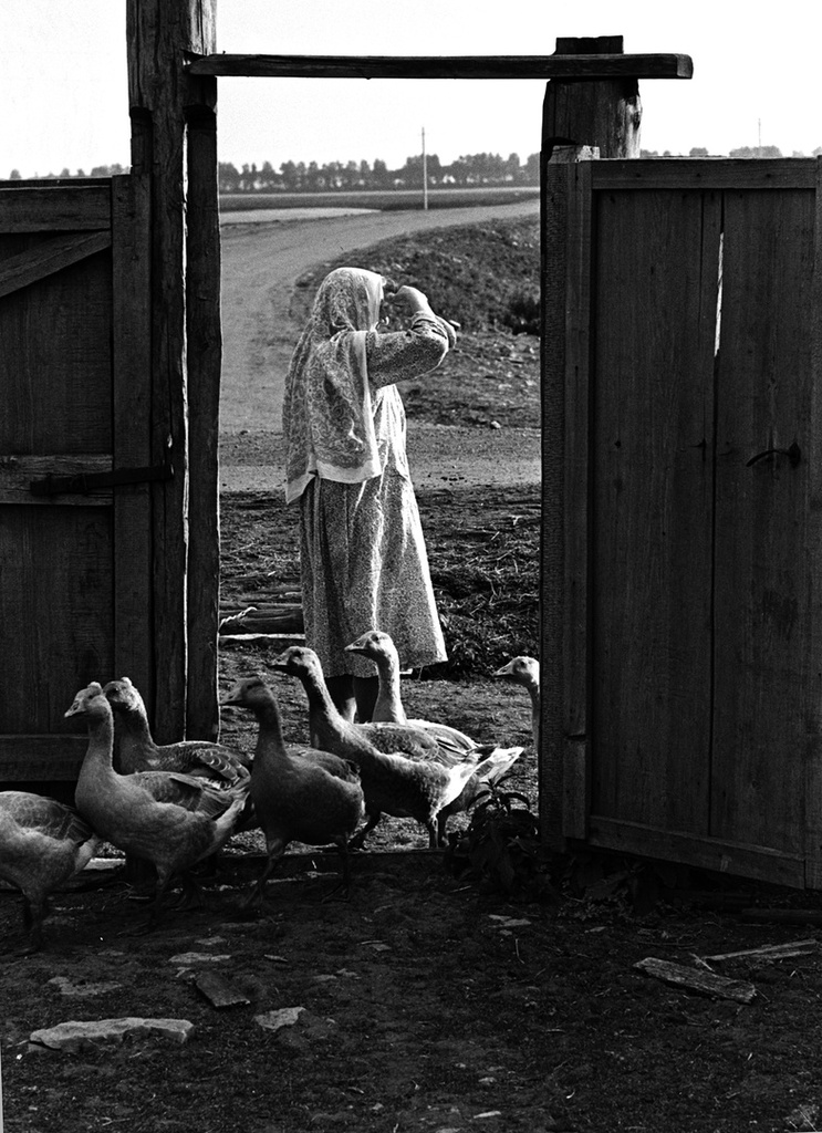 Ожидание, 8 июля 1987, Татарская АССР,  дер. Кавзияково. Выставка «Окно в деревню» с этой фотографией.