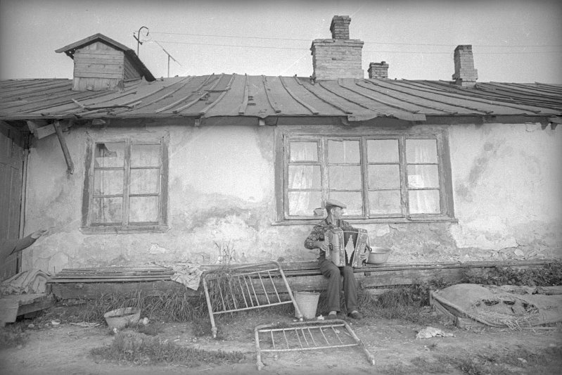 Гармонист, 1968 год, Тамбовская обл.. Выставка «СССР в 1968 году» с этой фотографией.