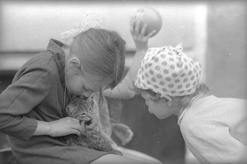 Дети и котенок, 1973 год, Чувашская АССР, г. Чебоксары. Выставка «Без кота и жизнь не та» с этой фотографией.&nbsp;