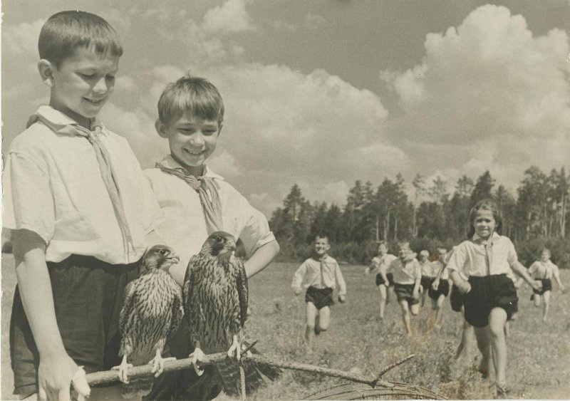 Юннаты, 1930-е. Выставка «"Наблюдай все, что есть вокруг тебя в природе". Юннаты в СССР» с этой фотографией.&nbsp;