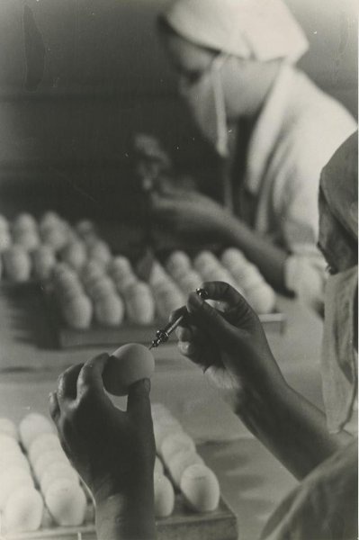 Вакцина против гриппа, 1950-е, г. Москва. Выставка «Прививки нужные и разные» с этой фотографией.