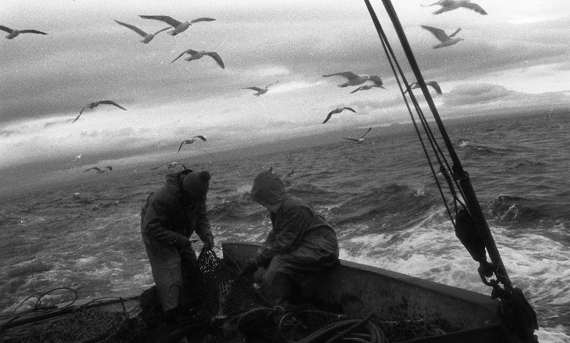 Моряки на судне, 1979 год, Камчатская обл.. Выставка&nbsp;«Моряки» с этой фотографией.&nbsp;