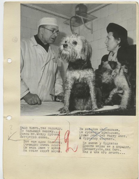 На приеме у ветеринарного врача, 1950-е, Латвийская ССР, г. Рига. Выставка «На страже здоровья братьев наших меньших» с этой фотографией.&nbsp;