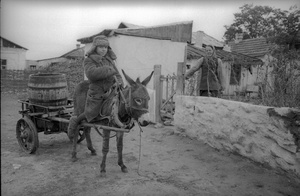 На ослике, 1938 год, Киргизская ССР