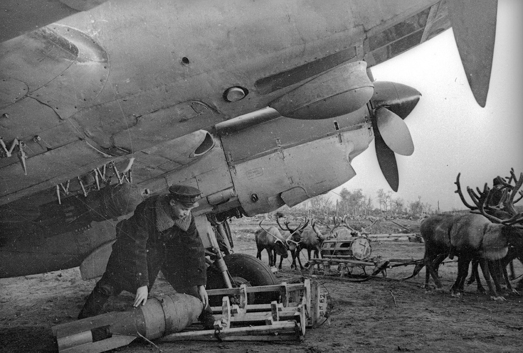 Олени подвозят авиабомбы к самолету Пе-2, 1942 год, Мурманская обл., пос. Североморск-1, аэропорт Ваенга. Выставка «Железные птицы» с этой фотографией.&nbsp;