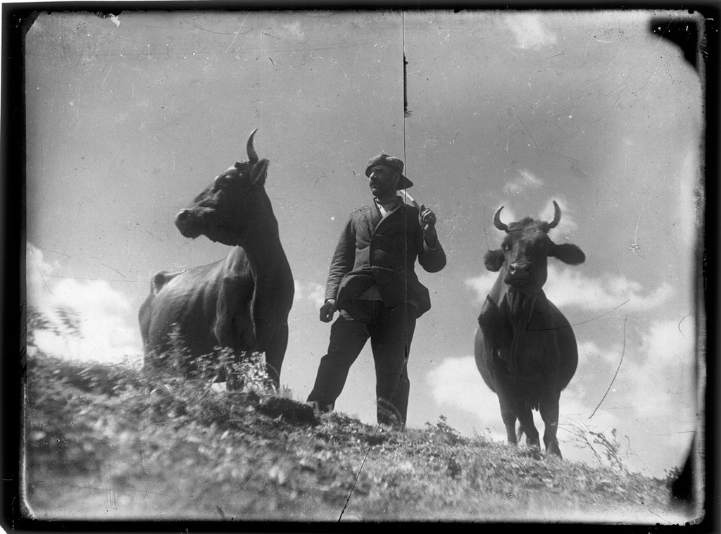 Пастух, 1933 год, Украинская ССР. Видео «Евгений Халдей»&nbsp;и выставка «Пастухи» с этой фотографией.