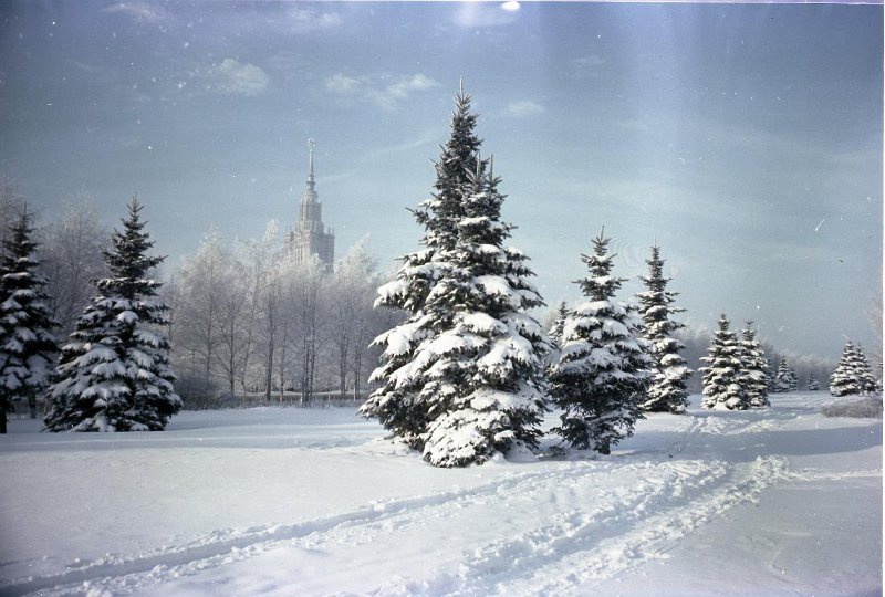 Вид на главное здание МГУ имени М. В. Ломоносова из сквера, 1968 - 1973, г. Москва. Выставка «Под чистым зимним солнцем» с этой фотографией.&nbsp;