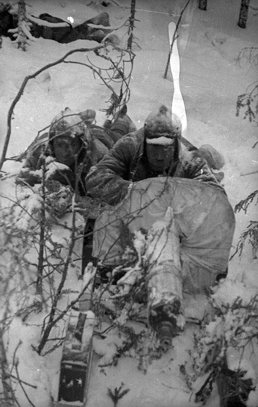 Советско-финская война, 1 декабря 1939 - 29 февраля 1940