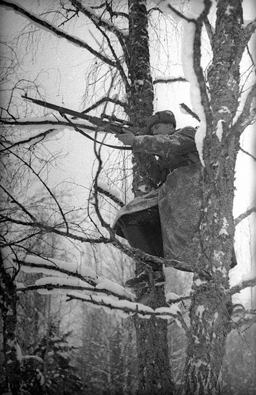 Передовое стрелковое отделение младшего командира М. А. Леухина. Снайпер-красноармеец С. Д. Матрос на дереве, 1940 год