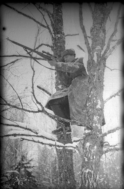 Передовое стрелковое отделение младшего командира М. А. Леухина. Снайпер-красноармеец С. Д. Матрос на дереве, 1940 год