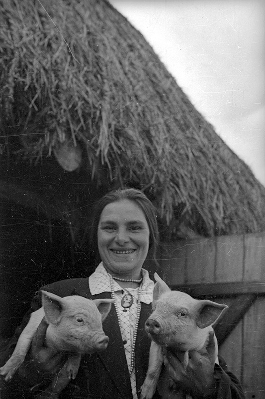 Колхозница с поросятами, 1933 год. Выставка «Свиноводство в СССР» с этой фотографией.