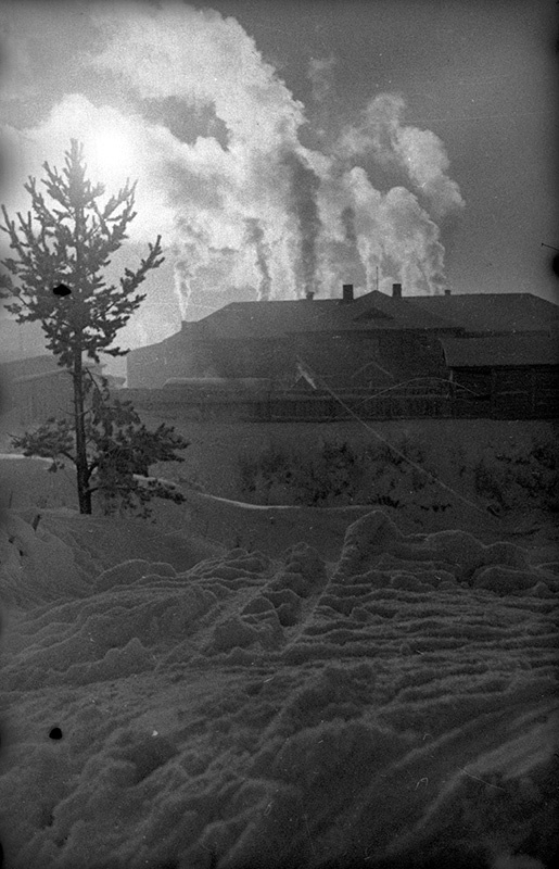 Советско-финская война. Мороз 44 градуса, но ветра нет, 1 декабря 1939 - 29 февраля 1940. Выставка «На морозе» с этой фотографией.