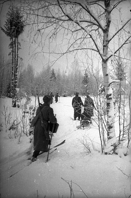 В зимнем лагере. Бойцы на лыжах в лесу, январь - февраль 1940