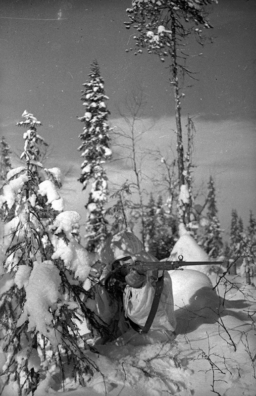 Советско-финская война. Снайпер, 1 декабря 1939 - 29 февраля 1940