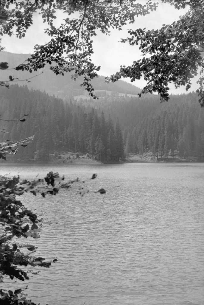 Озеро Синевир в Закарпатье, 1 - 29 августа 1978, Закарпатская обл., Межгорский р-н. 