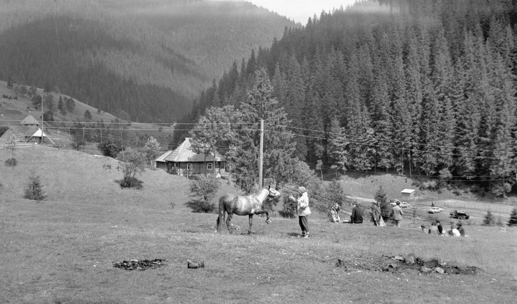 Туристы в Закарпатье, 1 - 29 августа 1978, Закарпатская обл., Межгорский р-н. С лошадью общается Тамара Карлова. 