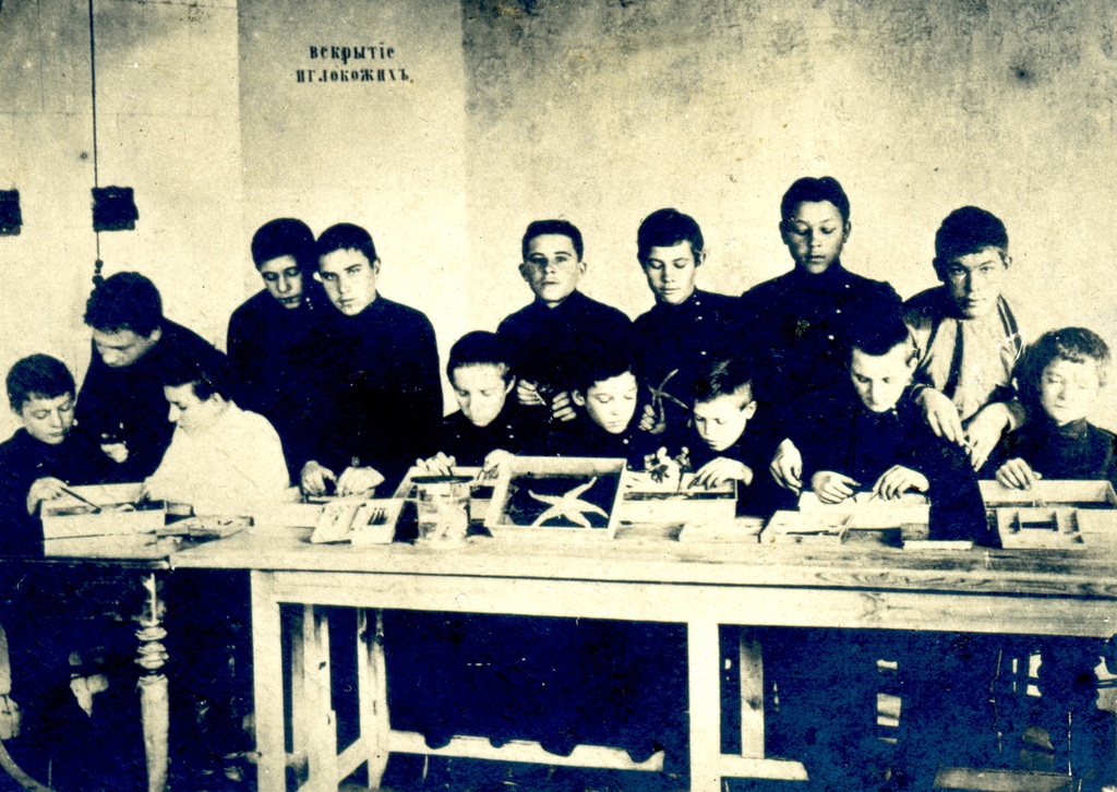 Ветеринарно-фельдшерская школа Воронежского губернского земства. Занятие «Вскрытие иглокожих», 1917 год, г. Воронеж. Фотография из альбома «Второй выпуск Ветеринарно-фельдшерской школы Воронежского губернского земства. 1917 год».&nbsp;