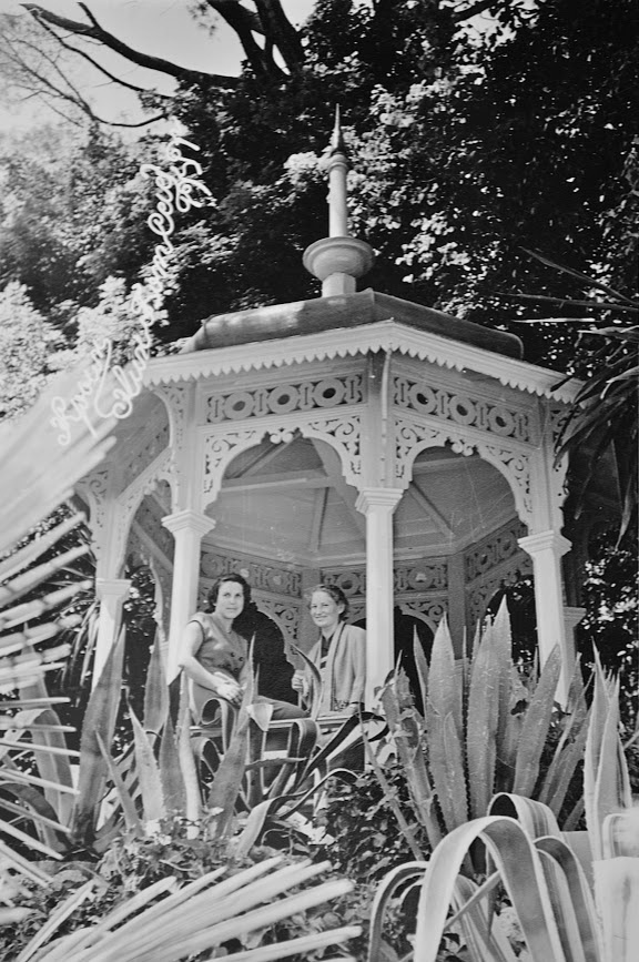 Среди Крымских красот, 1957 год, Крымская АССР, г. Ялта. Выставки&nbsp;«Крым»,&nbsp;«Никитский ботанический сад» с этой фотографией. 
