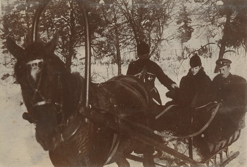 Императрица Мария Федоровна с сыном Георгием Александровичем, 1890 - 1894, Тифлисская губ.