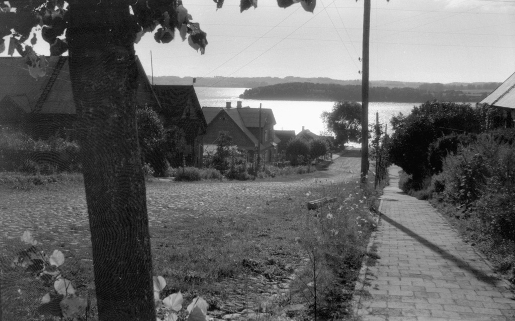 Окраины города Зарасай, 1 июня 1960 - 1 октября 1960, Литовская ССР, г. Зарасай. 