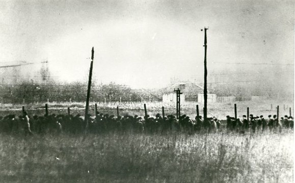 Лагерь в Шахтерске, 1980 год. Заключенных ведут на рабочие места вдоль коридора из колючей проволоки.Видео&nbsp;«История одной семьи. Лев Разгон»&nbsp;и «Анастас Микоян: 27-й бакинский комиссар, главный снабженец и рекордсмен» с этой фотографией. 