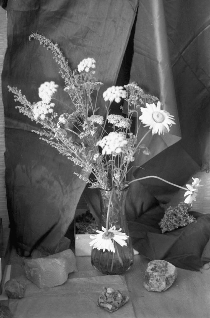Букет из трав и цветов, 1 августа 1980 - 1 ноября 1980, г. Москва, ул. Шипиловская. Выставка «Язык цветов» с этой фотографией.