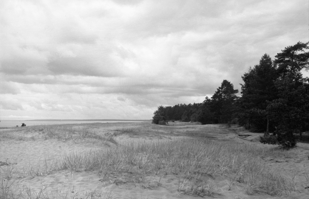 Пасмурное небо на побережье Финского залива, май - октябрь 1956, Ленинградская обл., г. Зеленогорск. 