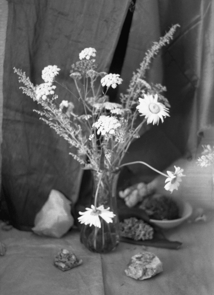 Букет из трав и цветов, 1 августа 1980 - 1 ноября 1980, г. Москва, ул. Шипиловская. 