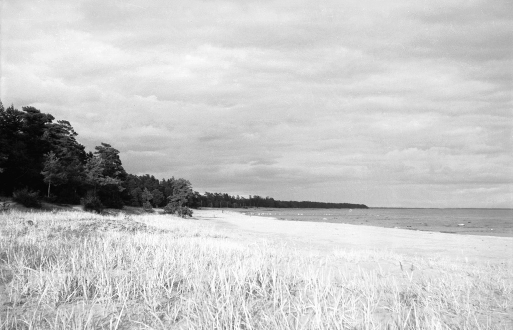 Пасмурное небо на побережье Финского залива, май - октябрь 1956, Ленинградская обл., г. Зеленогорск. 