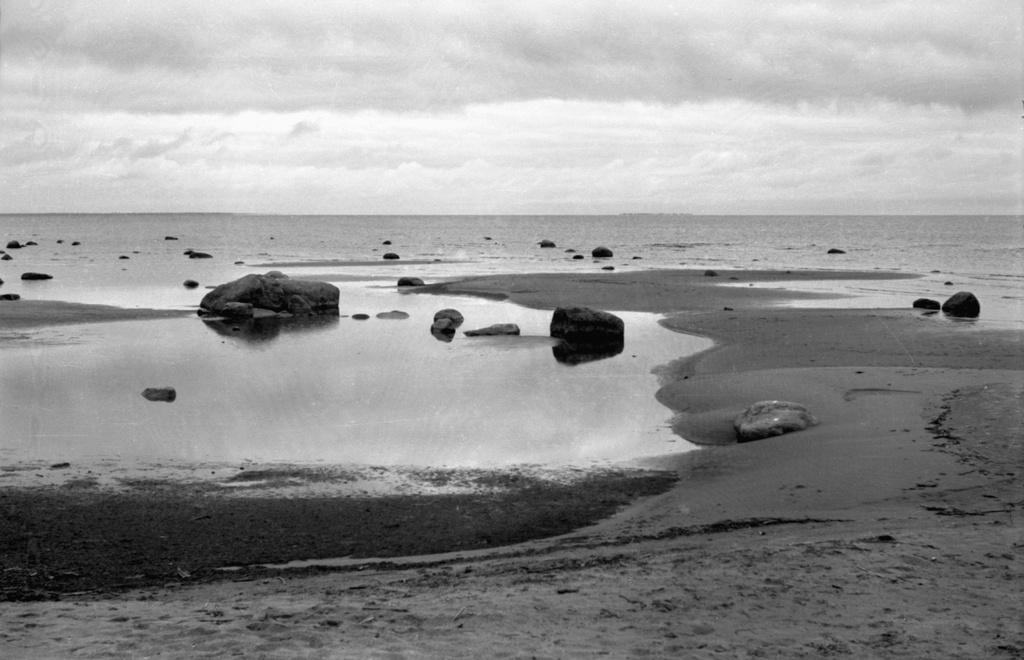 Камни на берегу Финского залива, май - октябрь 1956, Ленинградская обл., г. Зеленогорск. Выставка «Балтика-9.3» с этой фотографией.&nbsp;