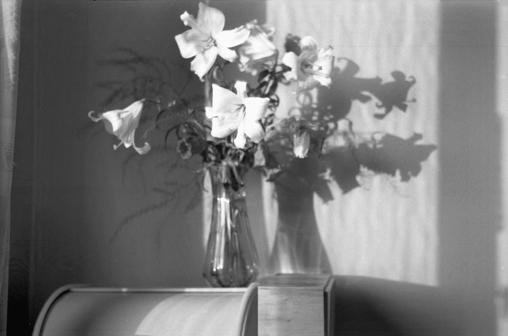 Садовые лилии в вазе, 1 августа 1980 - 1 ноября 1980, г. Москва, ул. Шипиловская. 