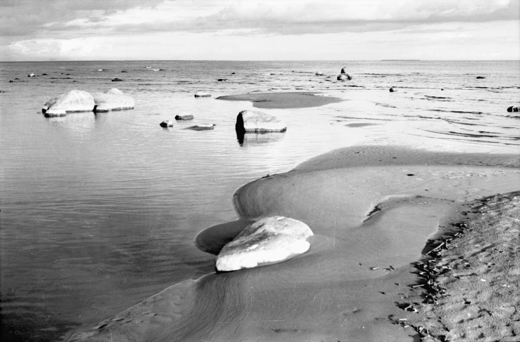 Камни на берегу Финского залива, май - октябрь 1956, Ленинградская обл., г. Зеленогорск. 
