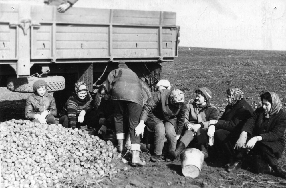 На уборке картофеля, 30 сентября 1973, Куйбышевская обл., совхоз им. Менжинского. На снимке третья справа – Ида Александровна Афанасьева.