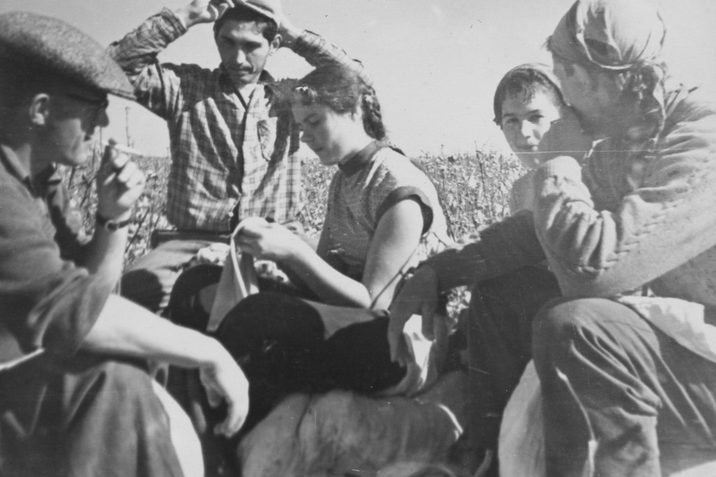Уборка хлопка, 1 сентября 1959 - 1 октября 1962, Казахская ССР. Южный Казахстан. Фотография из архива Олега Бейкуна.