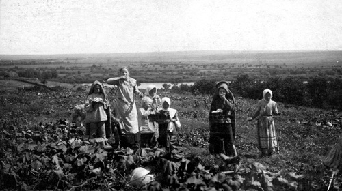 Крестьянские дети на бахче, 1 августа 1890 - 30 сентября 1899, обл. Войска Донского