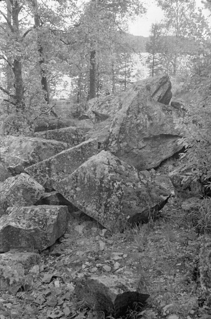 Камни поросшие мхом, июнь 1982, Карельская АССР, Питкяранский р-н. 