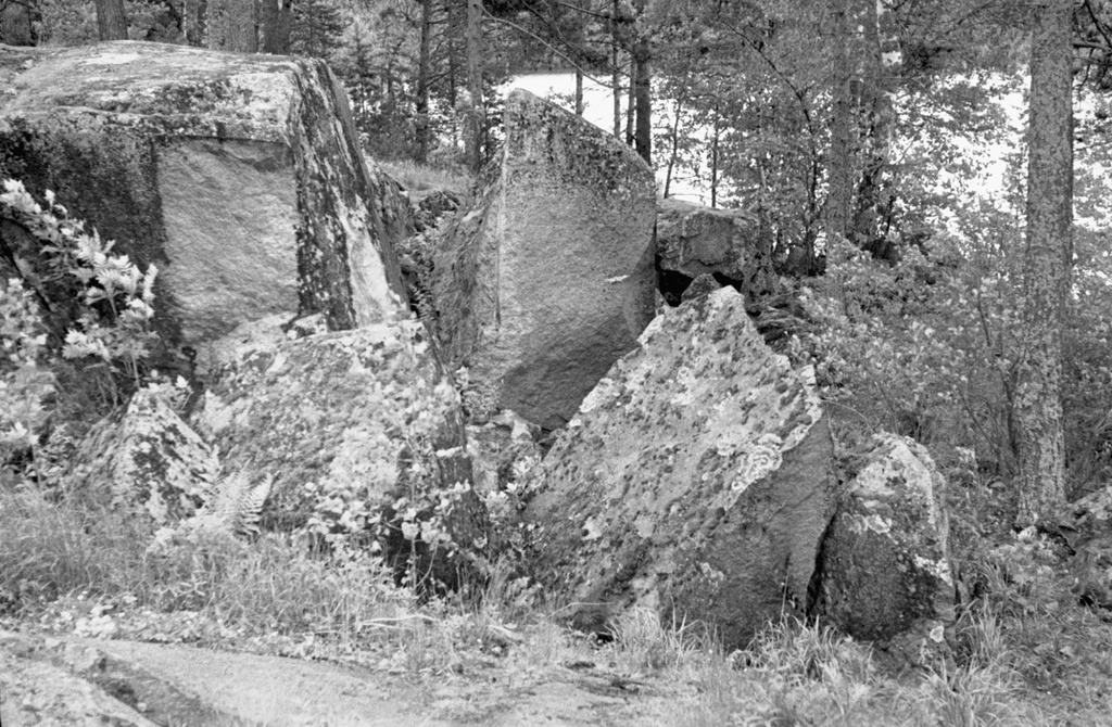 Камни, поросшие мхом, июнь 1982, Карельская АССР, Питкяранский р-н. 