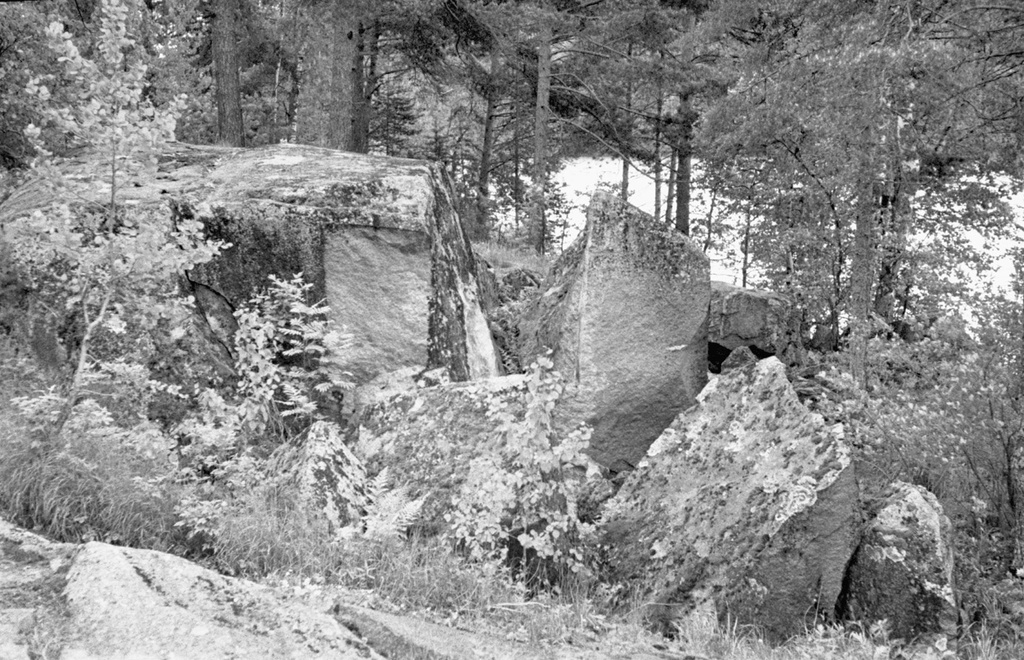 Камни, поросшие мхом, июнь 1982, Карельская АССР, Питкяранский р-н. 