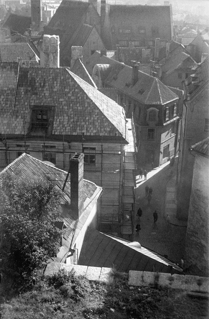 Крыши и улицы Таллина, июнь - август 1964, Эстонская ССР, г. Таллин. Смотровая площадка Тоомпеа.&nbsp;