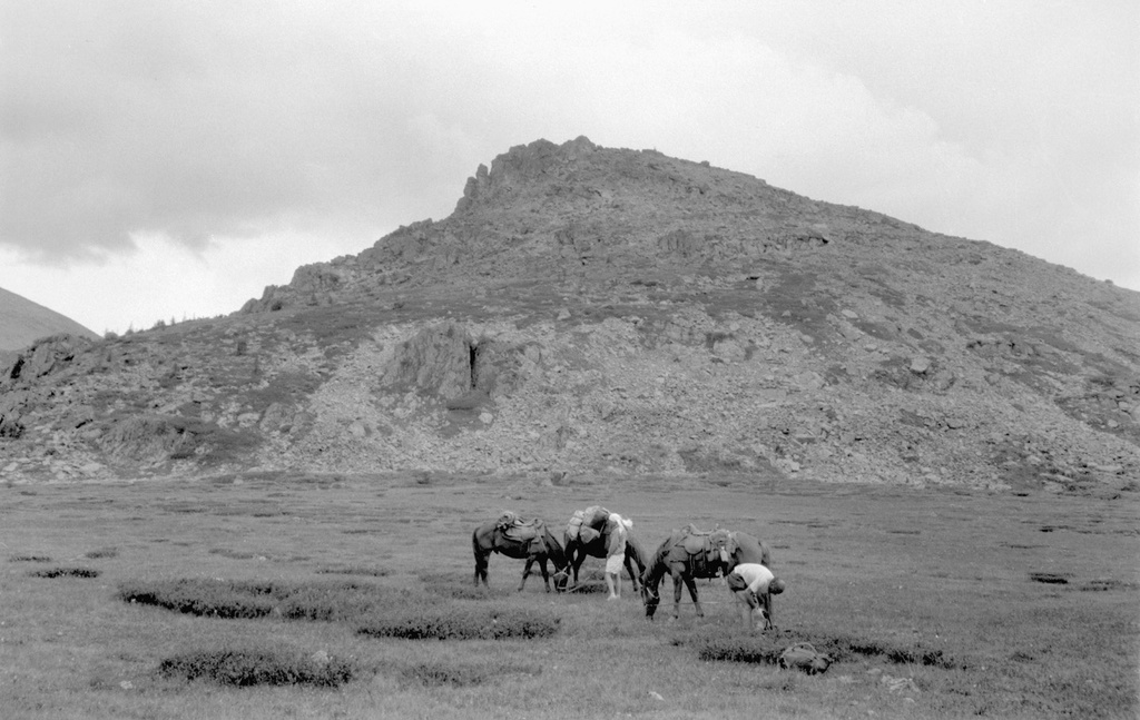 Международная группа туристов на перевале Каменный Белок, 8 октября 1989, Горно-Алтайская АО, Усть-Коксинский р-н. С лошадьми – Марк и Христиан (Швейцария).&nbsp;