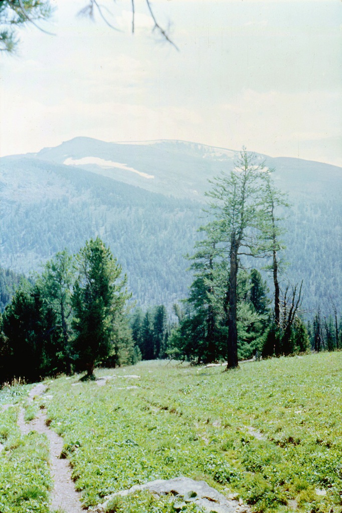 Высокогорная тропа, 11 августа 1989, Горно-Алтайская АО, Усть-Коксинский р-н. 
