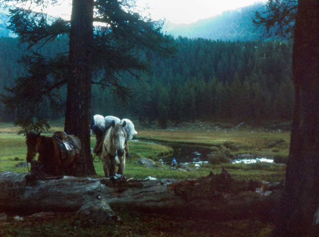 Вечерний привал в долине реки Собачья Тихая, 11 августа 1989, Горно-Алтайская АО, Усть-Коксинский р-н. Долина реки Собачья Тихая.
