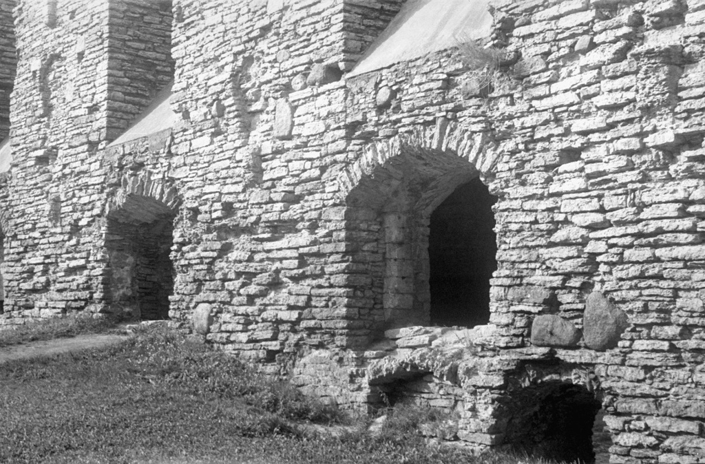 Развалины монастыря Святой Бригитты, июнь - август 1964, Эстонская ССР, г. Таллин, р-н Пирита. 