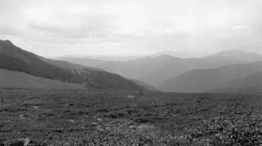 Алтайские склоны, 11 августа 1989, Горно-Алтайская АО, Усть-Коксинский р-н. Урочище Зайчонок.