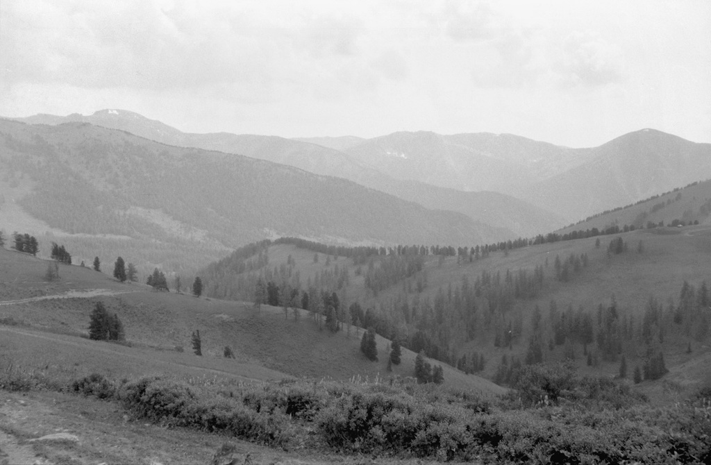 Алтайские склоны, 11 августа 1989, Горно-Алтайская АО, Усть-Коксинский р-н. 