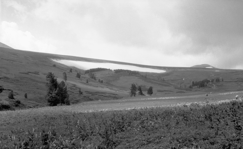 Снег на алтайских склонах, 11 августа 1989, Горно-Алтайская АО, Усть-Коксинский р-н. Урочище Зайчонок.