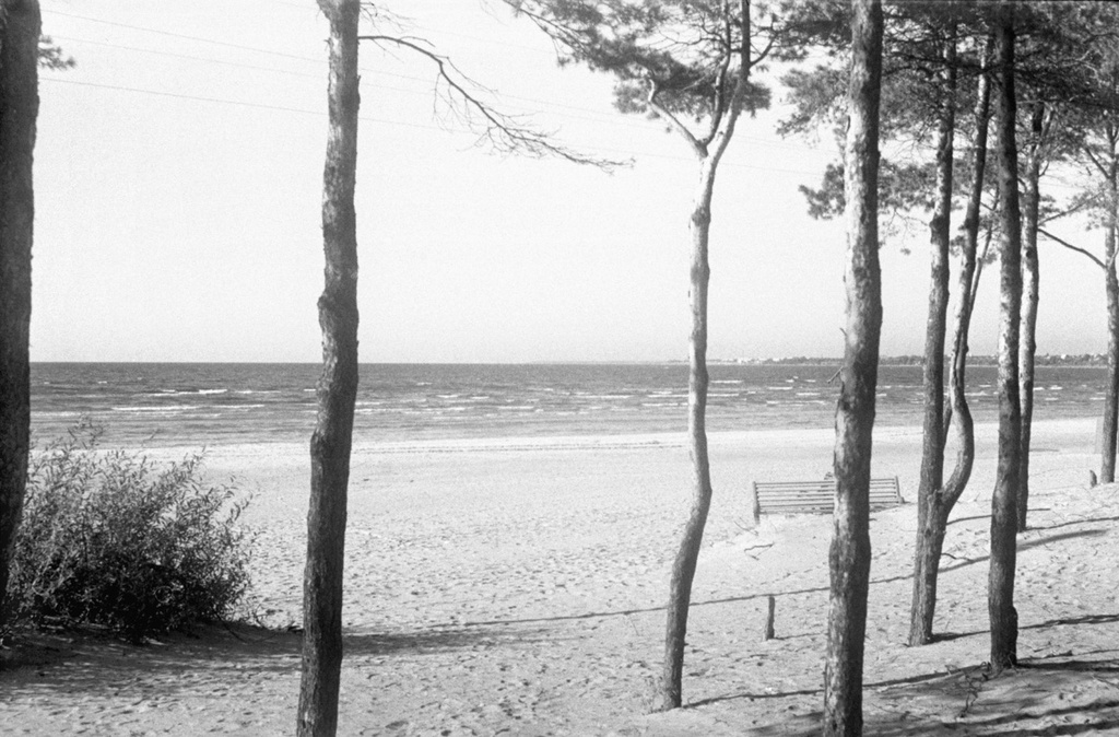 Берег Таллинского залива, июнь - август 1964, Эстонская ССР, г. Таллин, р-н Пирита. Выставка «Балтика-9.3» с этой фотографией.&nbsp;
