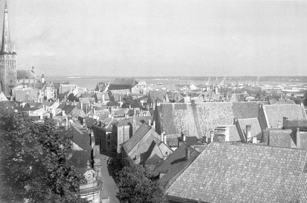 Вид на Таллин со смотровой площадки Тоомпеа, июнь - август 1964, Эстонская ССР, г. Таллин. 